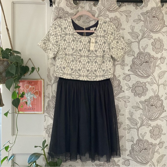 Anthropologie Dresses & Skirts - NWT Anthropologie Dress. Laced top, Tulle bottom. Vintage, Classy Look.